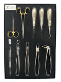 Kit de Extracción Dental con 10 piezas