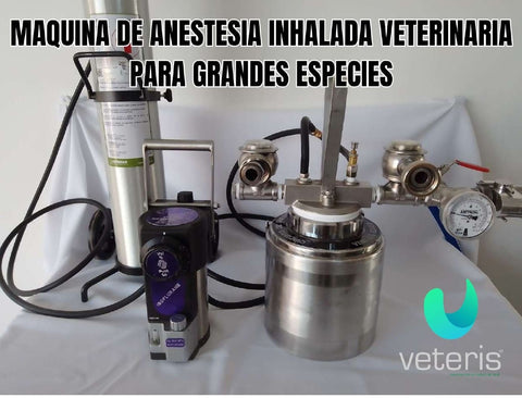 Maquina de Anestesia Inhalada para Equinos y Grandes Especies