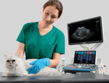 Ultrasonido Veterinario VETUS 8 EXPERT + 2 transductores