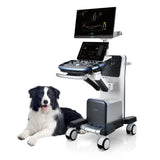 Sistema de Ultrasonido de Diagnostico Veterinario Premium VETUS9 con 3 Transductores Lineal, Micro convexo y Sectorial..