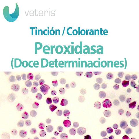 Tinción de Peroxidasa 12 Determinaciones