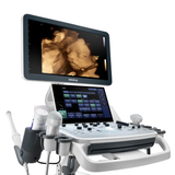 Ultrasonido de Gabinete para uso Humano DC40 Full HD con 4 Transductores Convexo, Lineal, Endocavitario y Volumétrico