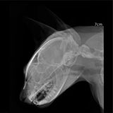 Sistema de Radiología Digital Veterinaria con Pantalla Touch Mod. VETIXS380 (Rayos x, Flat Panel, Mesa, Estación de Trabajo y Software)