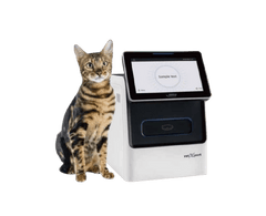 Analizador Químico Veterinario VETXPERT C5