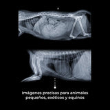 Generador de rayos x portátil veterinario