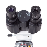 Microscopio compuesto binocular digital de laboratorio LED 40X-2500X con Cámara