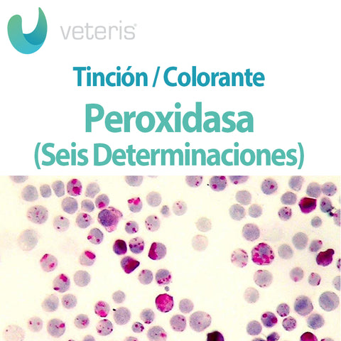 Tinción de Peroxidasa 6 Determinaciones