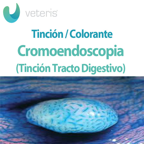Cromoendoscopia (Equipo de Tinción del Tracto Digestivo)