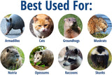 Trampa de Acero para Gatos, mapaches y animales de tamaño similar.